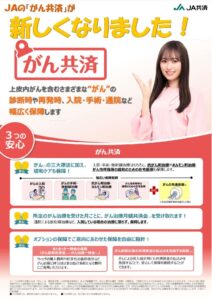 ガン共済チラシのサムネイル
